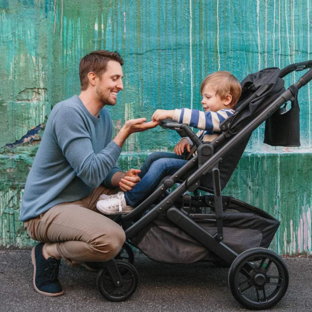 UPPAbaby | Vista & Cruz Snack Tray