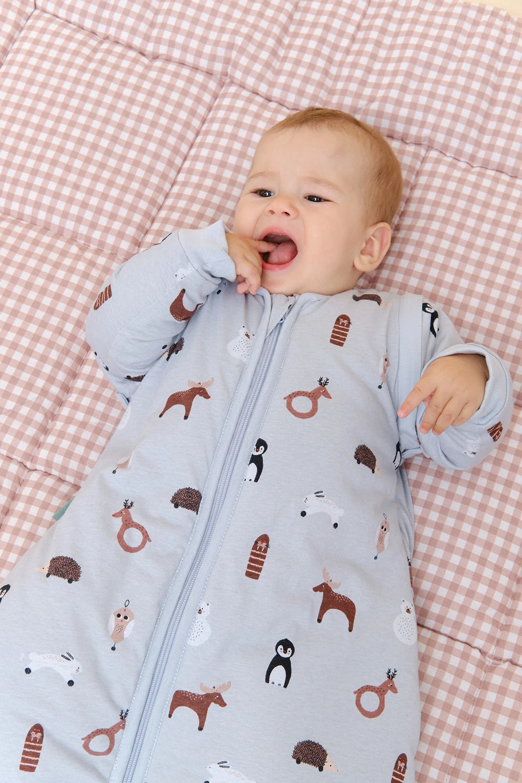 Baby sleeping bag with sleeves - Winter Animals - TOG 2.5 by Molis&Co
