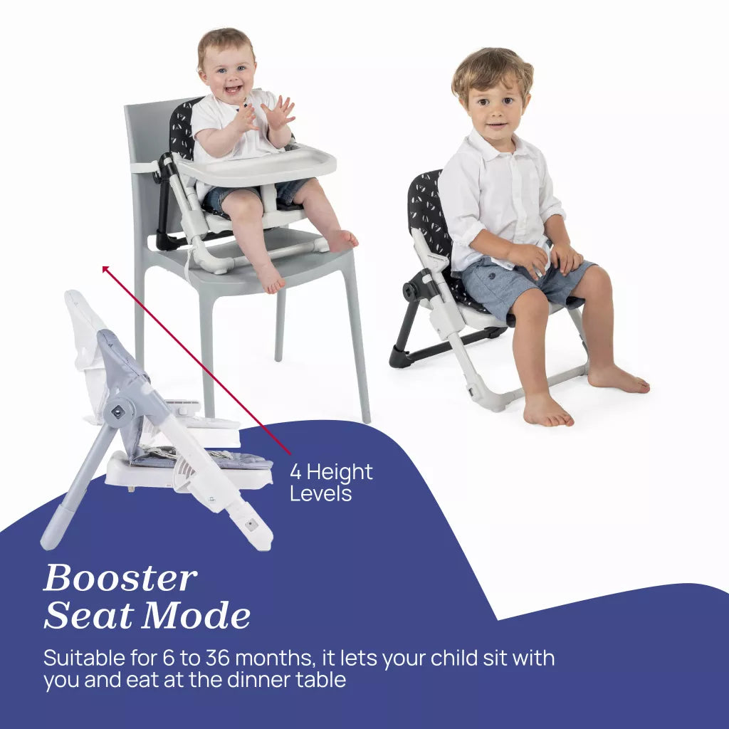 Chicco Chairy Booster Seat
